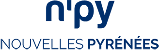N'PY logo